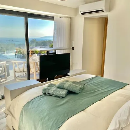 Luxe Palmerey 10 Pax Piscine Spa Vue Mer Saint-Raphaël