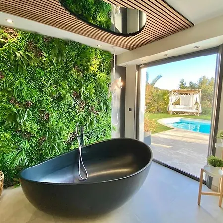 Villa Luxe Palmerey 10 Pax Piscine Spa Vue Mer Saint-Raphaël